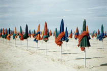Parasol
