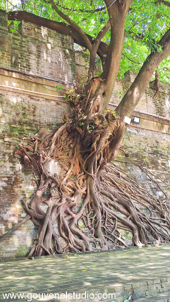 Parc du Fleuve Yong Jiang - Nanning