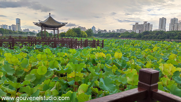 Nan Hu - Nanning 